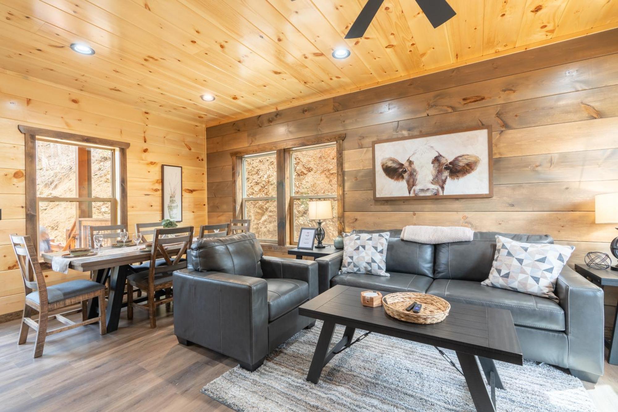 Hawks Nest Mountain Holiday home Sevierville